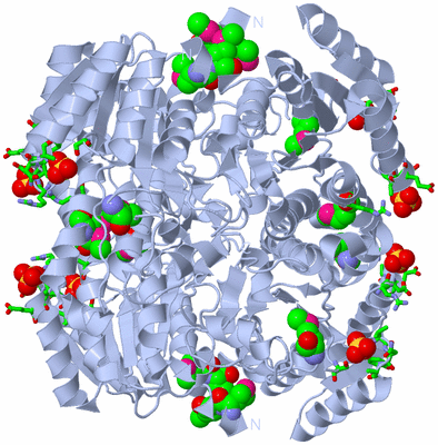 Image Biol. Unit 1 - sites