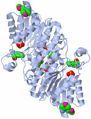 Image Biological Unit 2