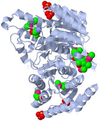 Image Biological Unit 3