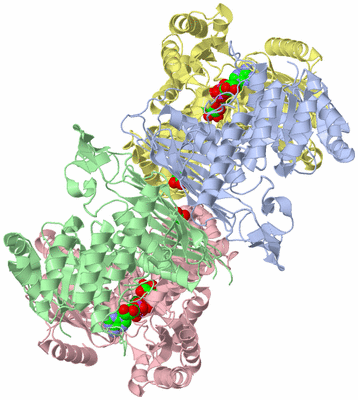 Image Asym./Biol. Unit