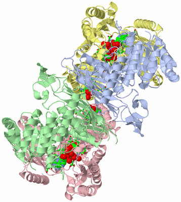 Image Asym./Biol. Unit - sites