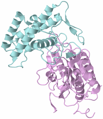 Image Biological Unit 3