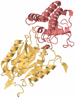 Image Biological Unit 4