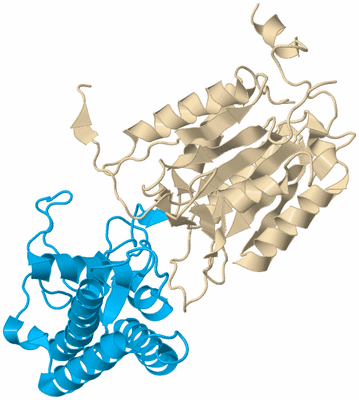 Image Biological Unit 5