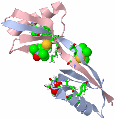 Image Biol. Unit 1 - sites