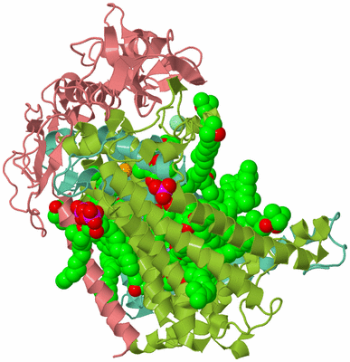 Image Asym./Biol. Unit