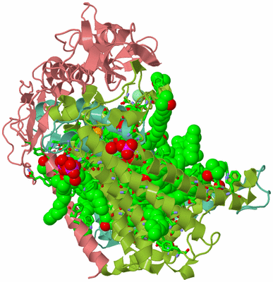 Image Asym./Biol. Unit - sites