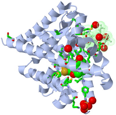 Image Asym./Biol. Unit - sites