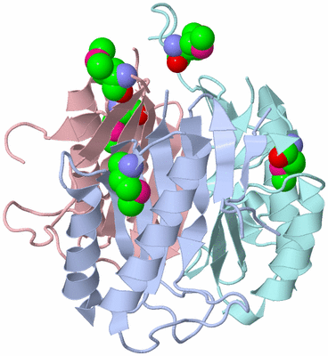 Image Biological Unit 1