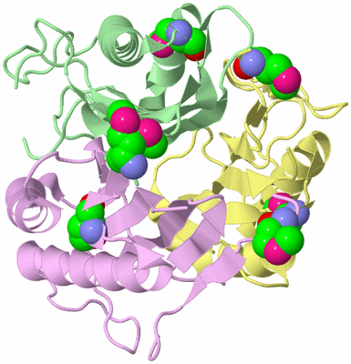 Image Biological Unit 2