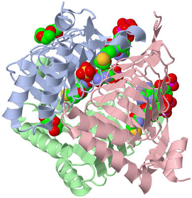 Image Asym./Biol. Unit