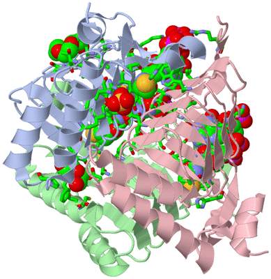 Image Asym./Biol. Unit - sites