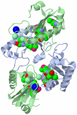 Image Biological Unit 1