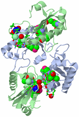 Image Biol. Unit 1 - sites