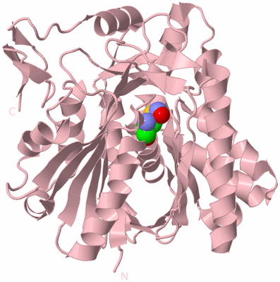 Image Biological Unit 3