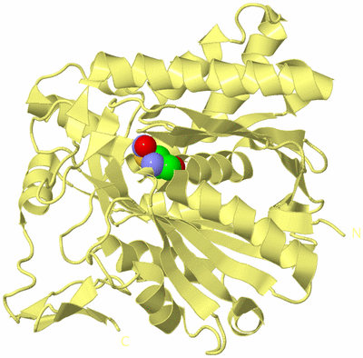 Image Biological Unit 4