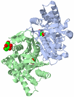 Image Biological Unit 5