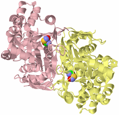 Image Biological Unit 6