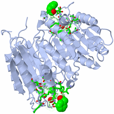 Image Biol. Unit 1 - sites