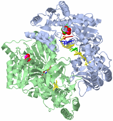 Image Asym./Biol. Unit