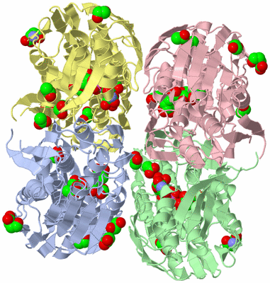 Image Biological Unit 1