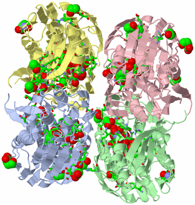 Image Biol. Unit 1 - sites