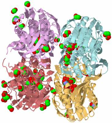 Image Biological Unit 2