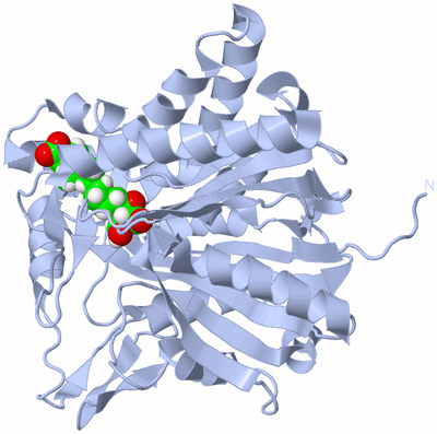 Image Biological Unit 1