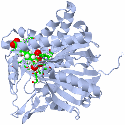 Image Biol. Unit 1 - sites