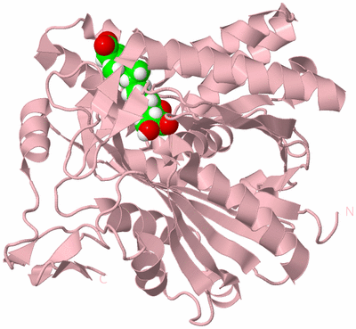 Image Biological Unit 3