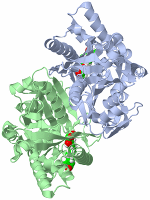 Image Biological Unit 5