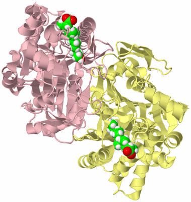 Image Biological Unit 6