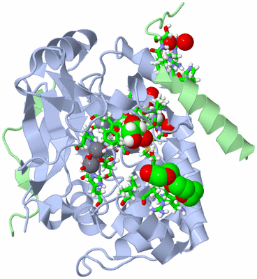 Image Biol. Unit 1 - sites