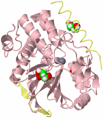 Image Biological Unit 2