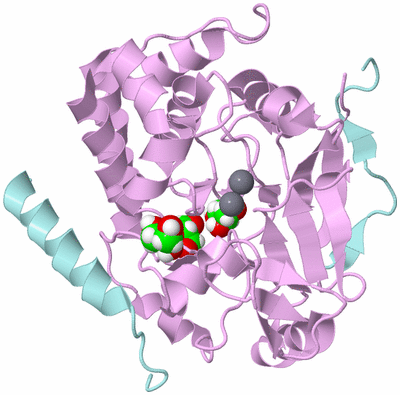 Image Biological Unit 3