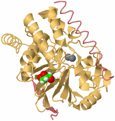 Image Biological Unit 4