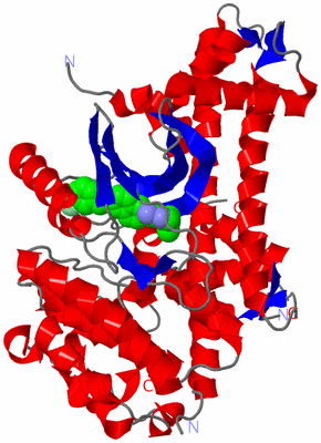 Image Asym./Biol. Unit