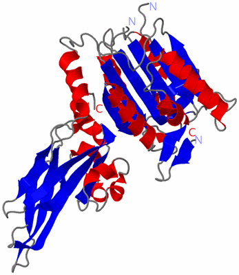 Image Asym./Biol. Unit