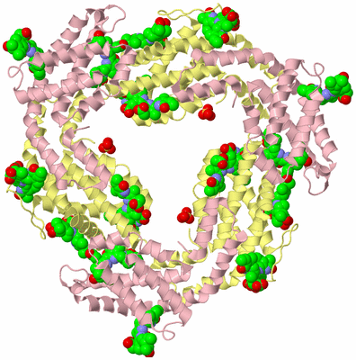 Image Biological Unit 2