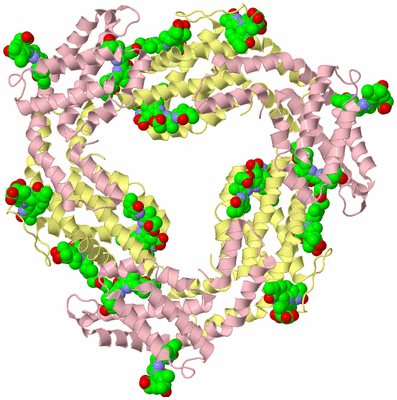 Image Biological Unit 2