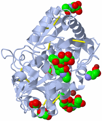 Image Asym./Biol. Unit