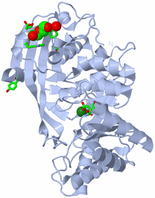 Image Biol. Unit 1 - sites