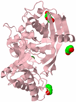 Image Biological Unit 3