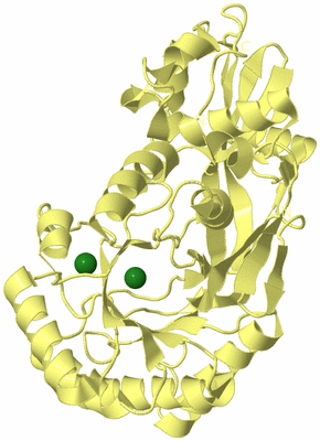 Image Biological Unit 4