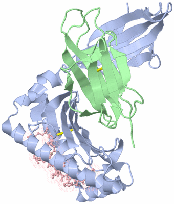 Image Biological Unit 1