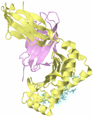 Image Biological Unit 2