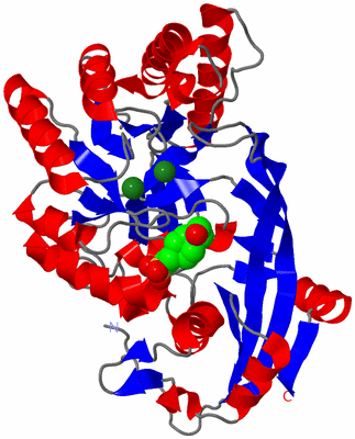 Image Asym./Biol. Unit