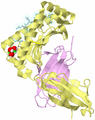 Image Biological Unit 2