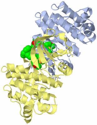 Image Biological Unit 5
