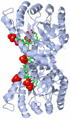 Image Biol. Unit 1 - sites